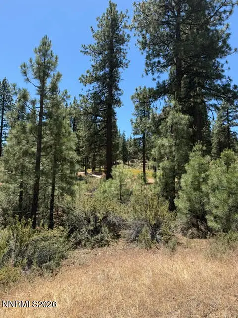 195 Walton Toll Road #210, Carson City, NV 89705 - #2