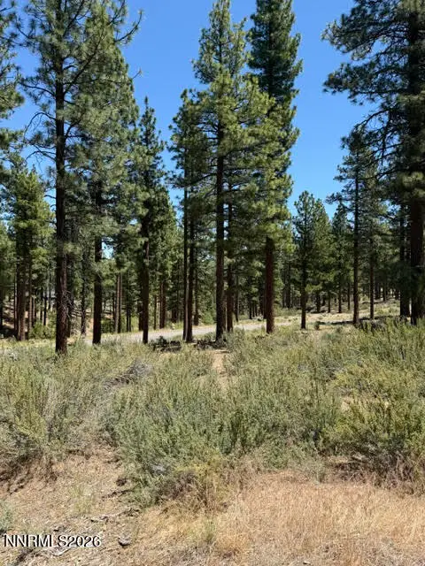 195 Walton Toll Road #210, Carson City, NV 89705 - #3