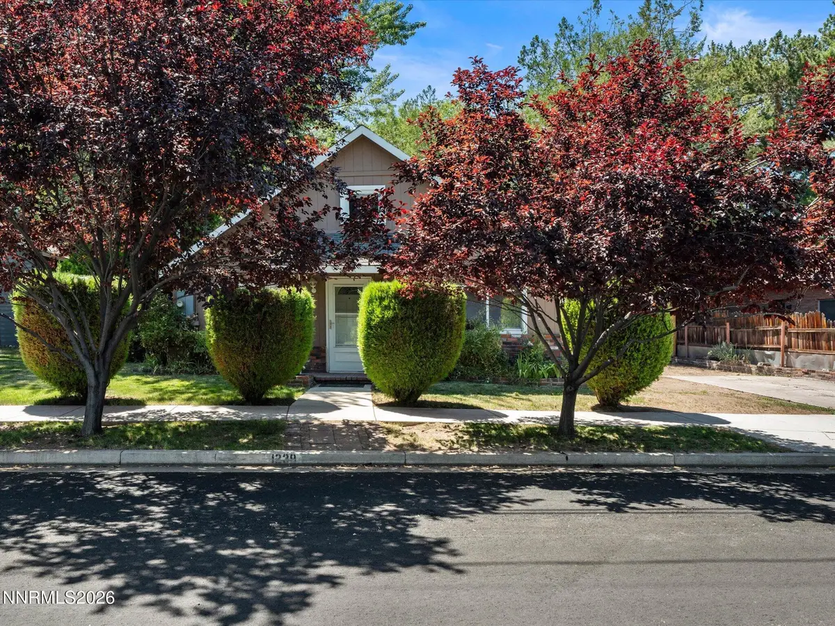 1239 Patrick Avenue, Reno, NV 89509 - #1