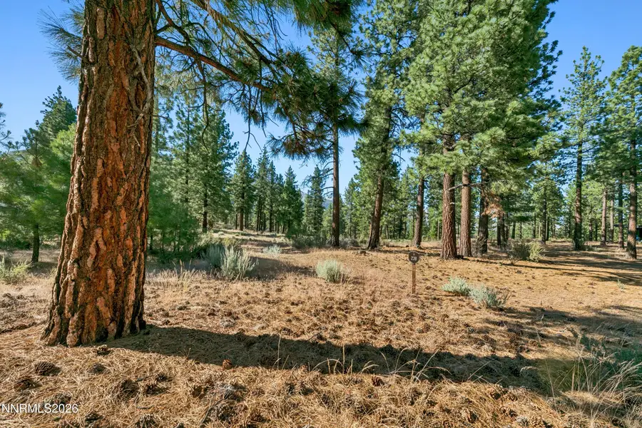 238 Redding Way, Carson City, NV 89705 - #3