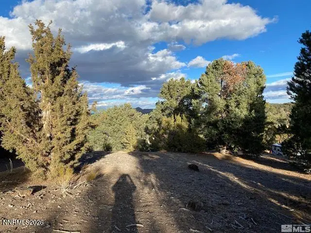 21650 Palamino Road, Reno, NV 89521 - #1
