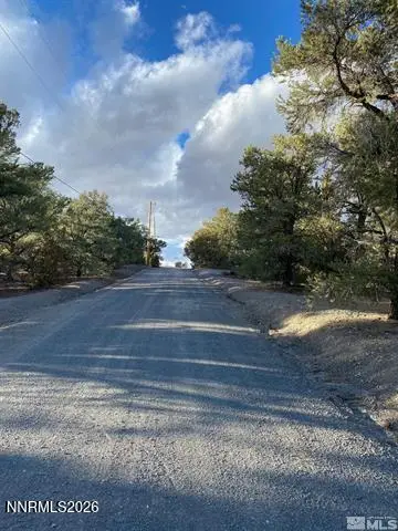 21650 Palamino Road, Reno, NV 89521 - #3