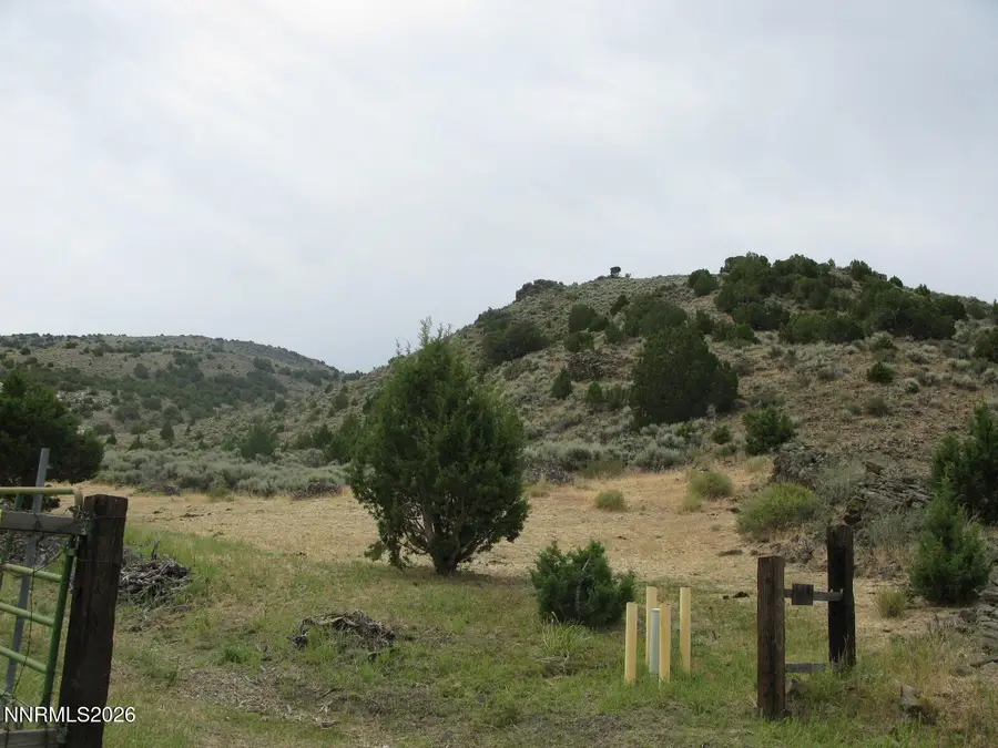 705 Pah Rah Springs Road, Reno, NV 89510 - #3