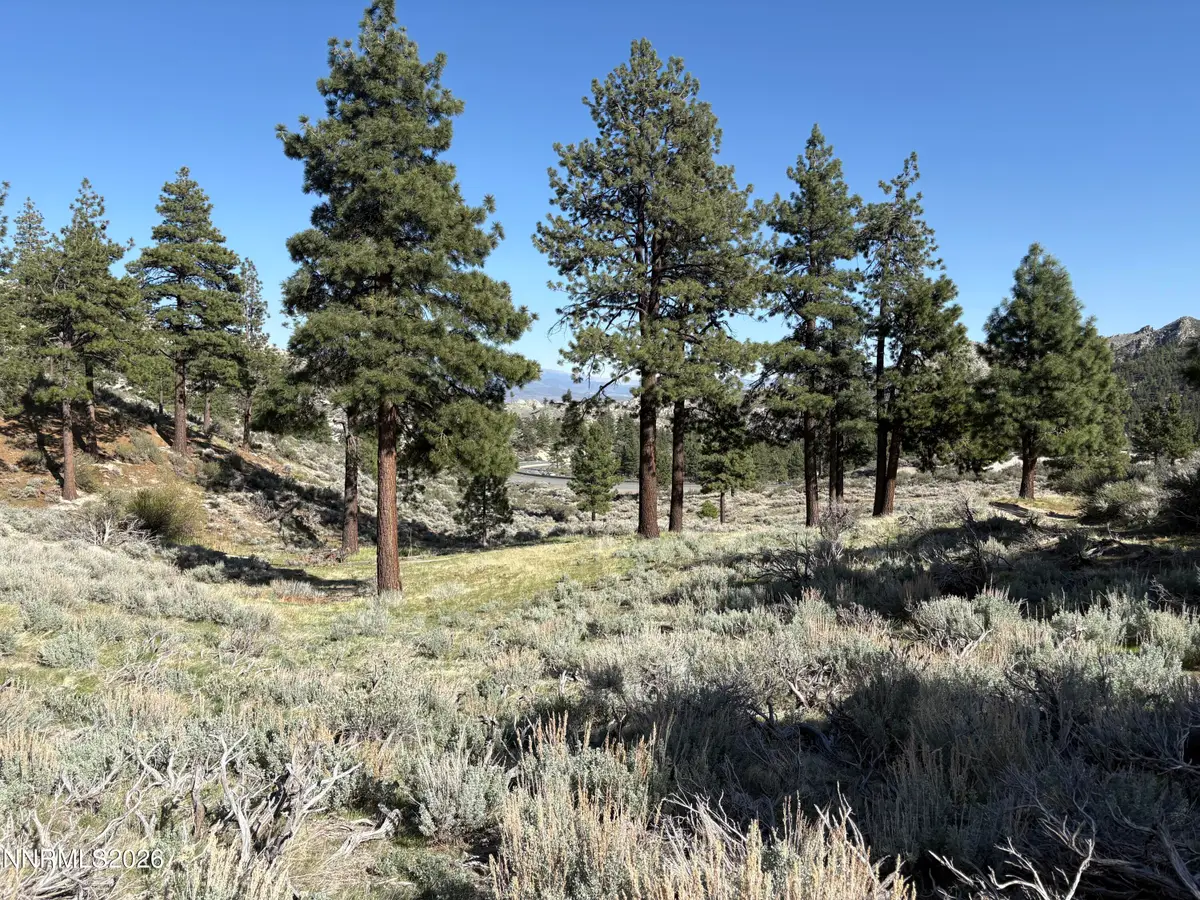 5000 W Hwy 50, Carson City, NV 89705 - #1