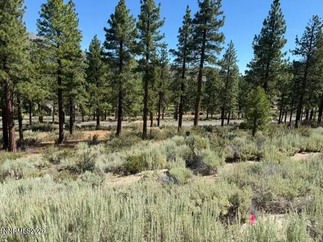 3265 Summit Camp Way #C24/310, Carson City, NV 89705 - #3
