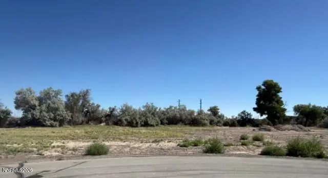 850 River Village Drive, Fallon, NV 89406 - #2