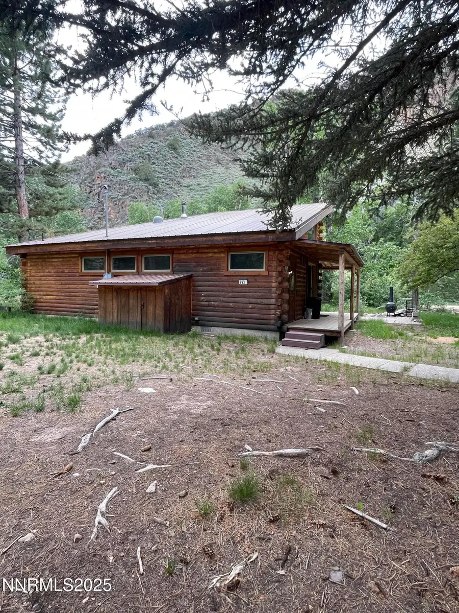 993 E Side Avenue, Jarbidge, NV 89826 - #3