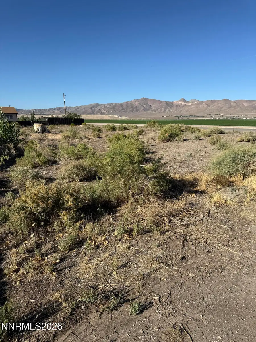 1 Smoke Tree Lane, Yerington, NV 89447 - #3