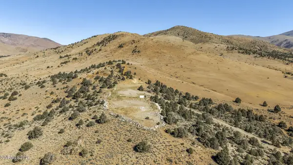 1536 Holbrook Bluffs Court, Wellington, NV 89444