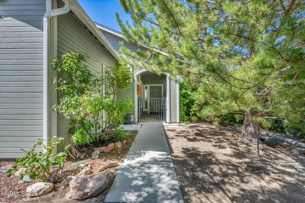 1110 Cheatgrass Drive, Dayton, NV 89403