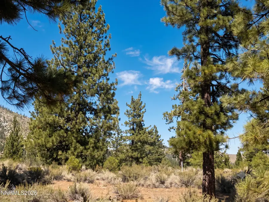 130 Chamberlain Court #189, Carson City, NV 89705 - #2