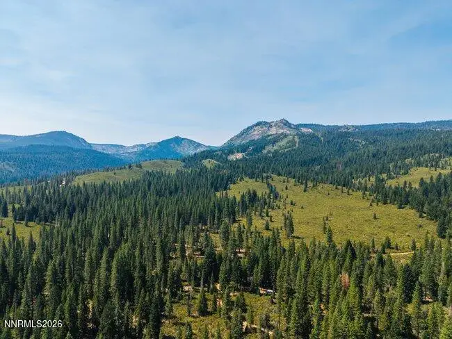 1001 Pinion Pine Trail, Johnsville, CA 96103 - #2