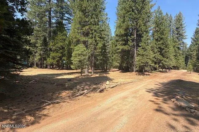 1001 Pinion Pine Trail, Johnsville, CA 96103 - #3