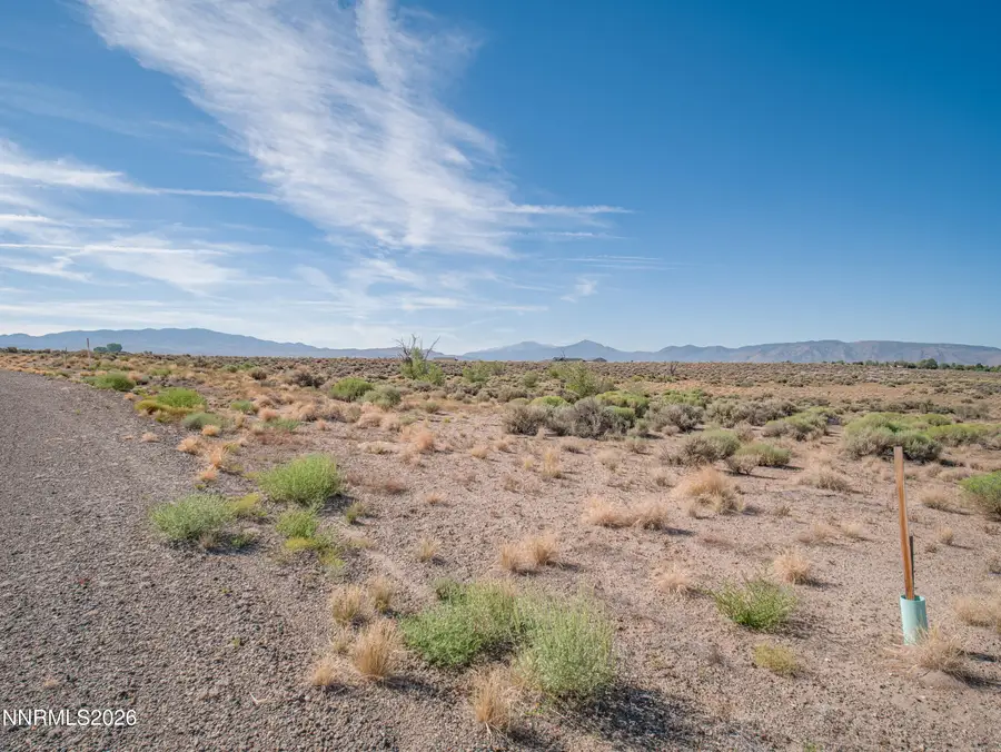 260 Mount Grant Drive, Smith, NV 89430 - #3