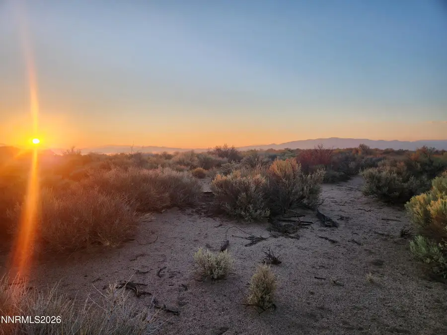 21 Eloise Circle, Wellington, NV 89444 - #3