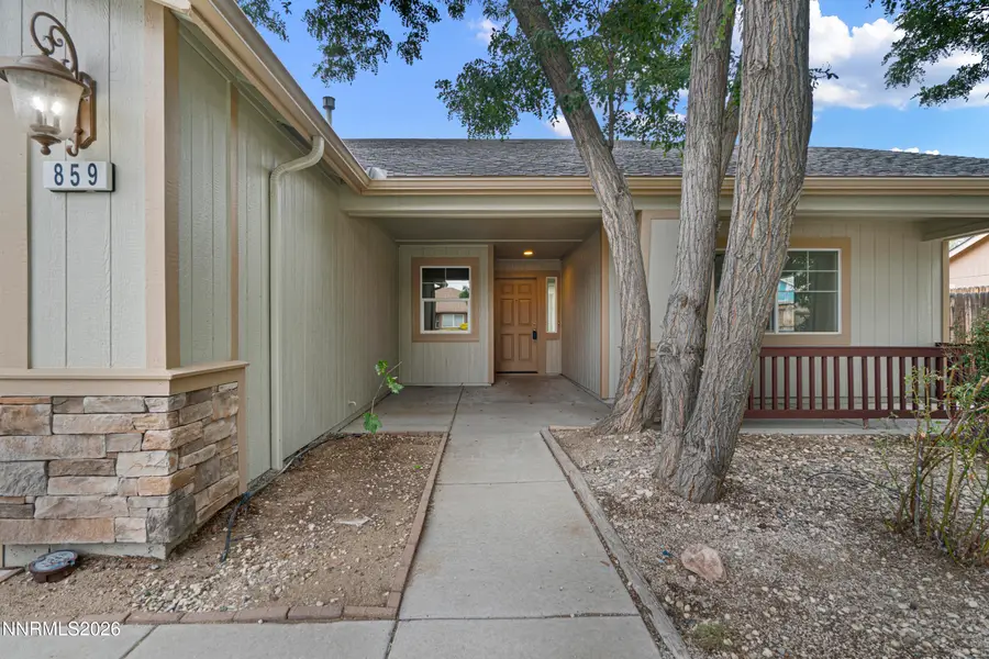 859 Klien Street, Dayton, NV 89403 - #3
