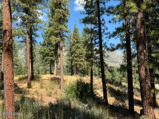 3288 Summit Camp Way #C20, Carson City, NV 89705 - #3