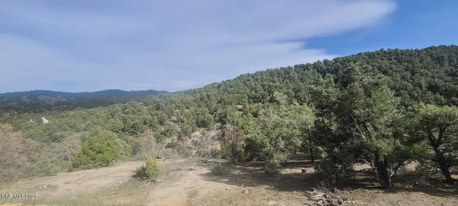 21685 Palamino Road, Reno, NV 89521 - #3