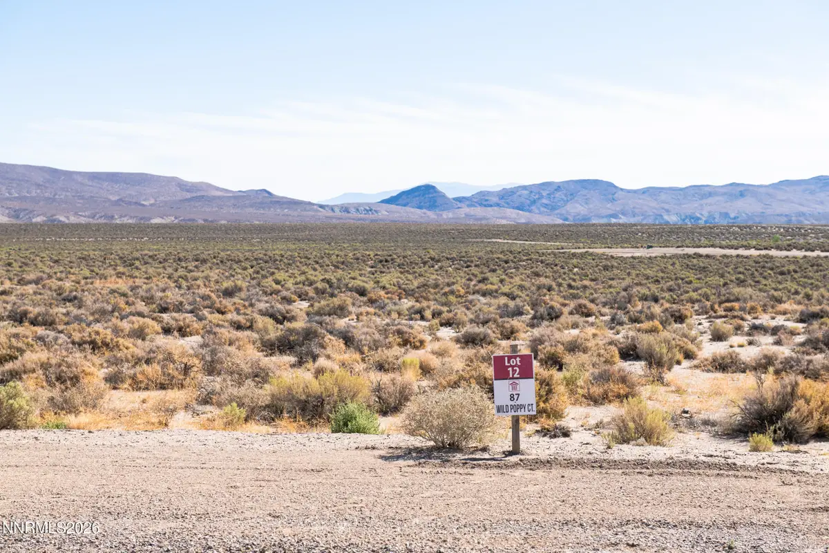 87 Wild Poppy Court, Smith, NV 89430 - #1