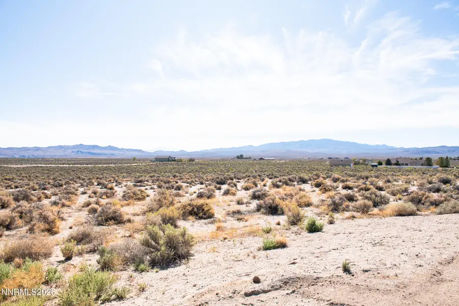 87 Wild Poppy Court, Smith, NV 89430 - #3
