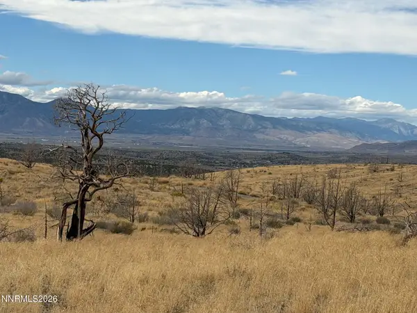 TBD Pine Nut #2, Gardnerville, NV 89410