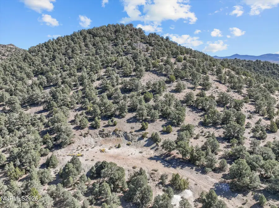 2180 Castle Peak Road, Reno, NV 89521 - #2