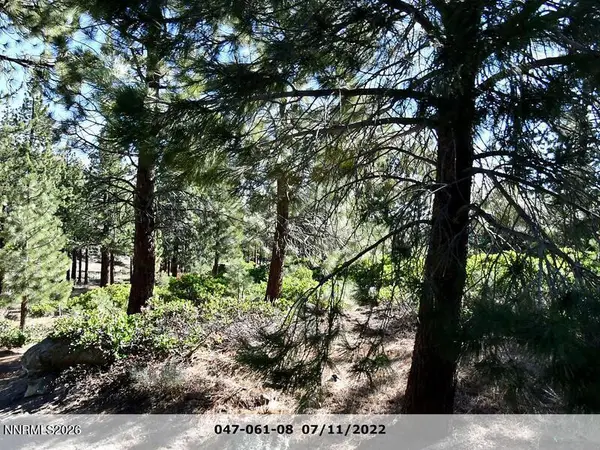 955 Blue Spruce Road, Reno, NV 89511