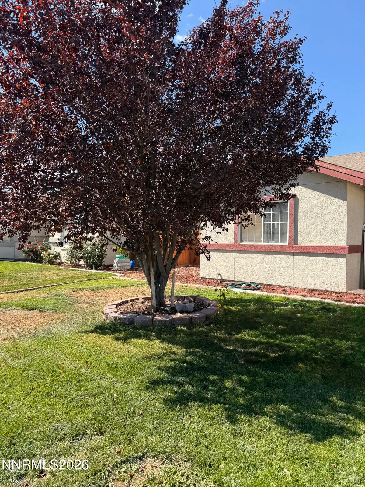 795 Elkhorn Way, Fallon, NV 89406 - #1