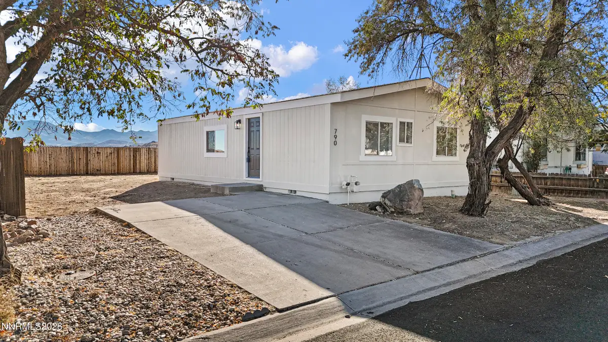 790 Chari Drive, Mound House, NV 89706 - #1