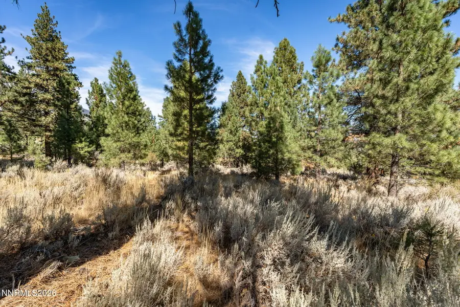 900 Stutler Creek Court, Gardnerville, NV 89460 - #2