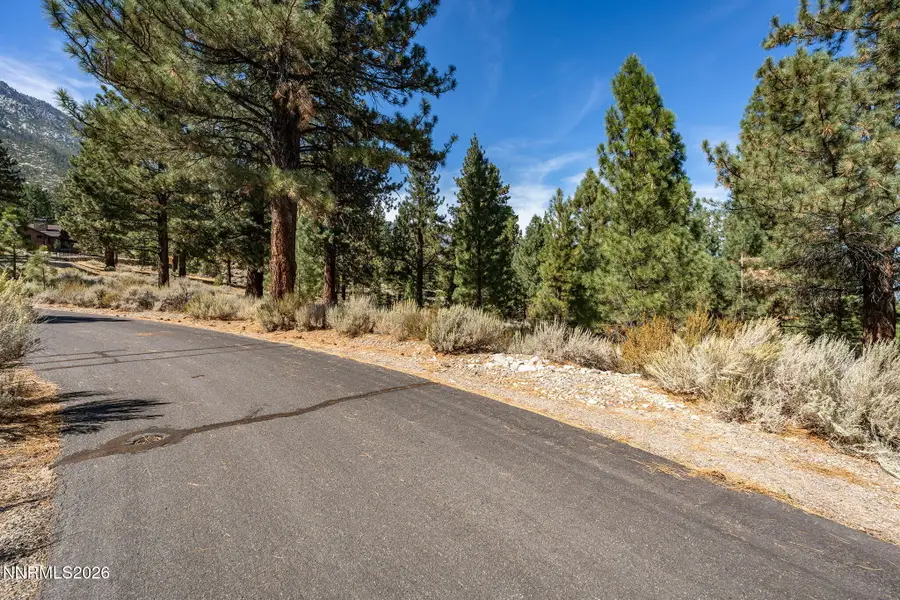 900 Stutler Creek Court, Gardnerville, NV 89460 - #3