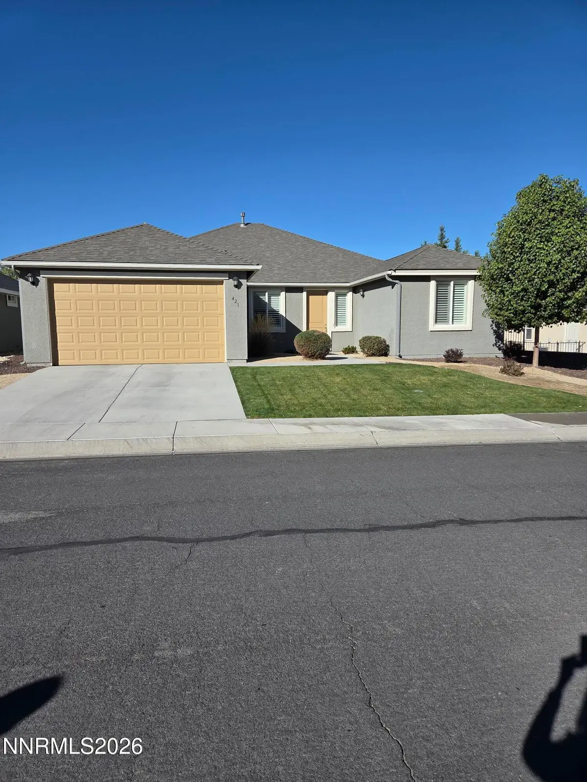 421 Dog Leg Drive, Fernley, NV 89408 - #1