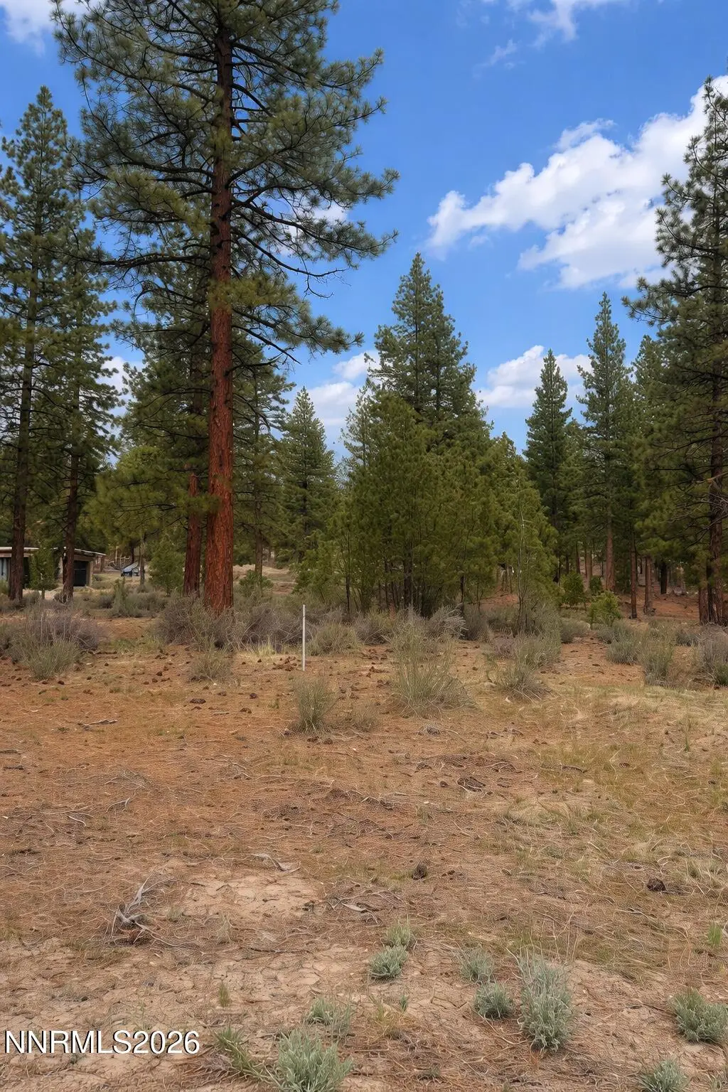 40 Boulders Bend Drive #116, Carson City, NV 89705 - #1