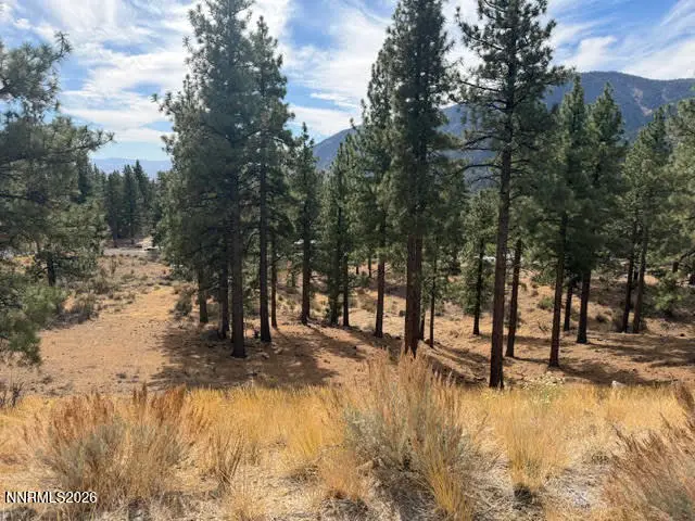 191 Duane Bliss Way #43, Carson City, NV 89705 - #1