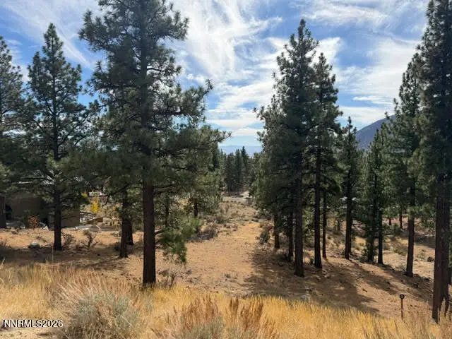 191 Duane Bliss Way #43, Carson City, NV 89705 - #3