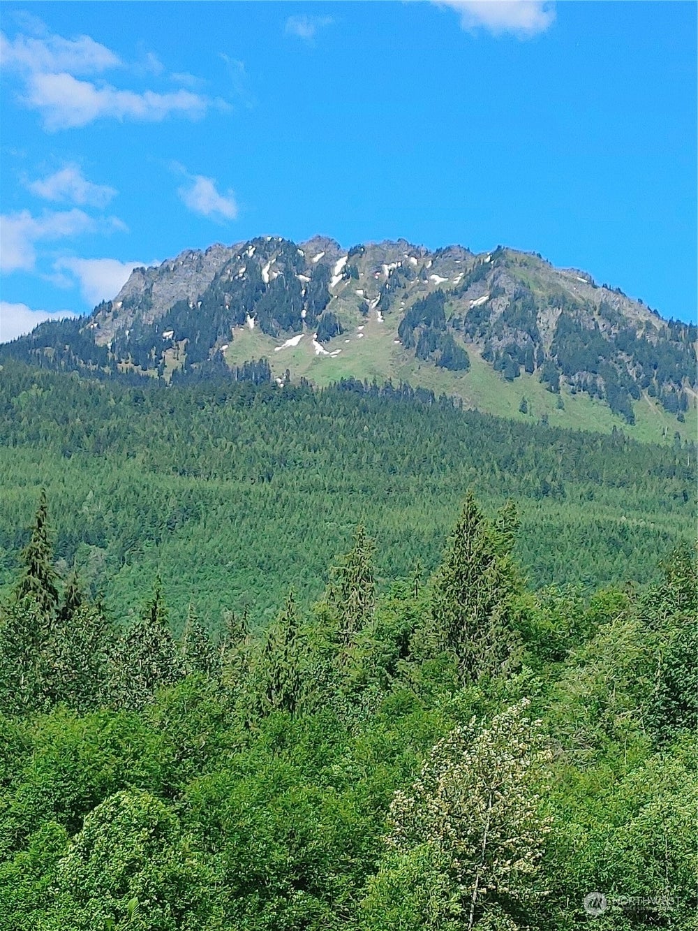 50720 Hornbeck Drive 1, Concrete, WA 98284 ERA