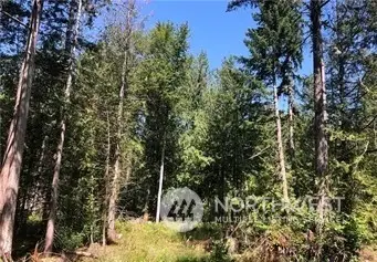 #1