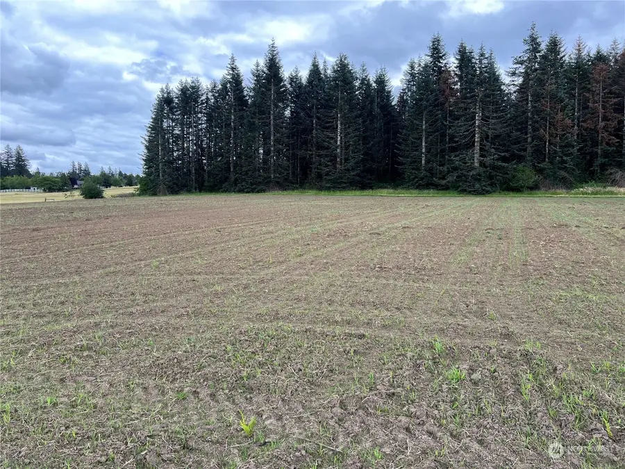 0 Se 303 Ave #9 Martin Barber DLC 51.10A, Washougal, WA 98671 - Image #3