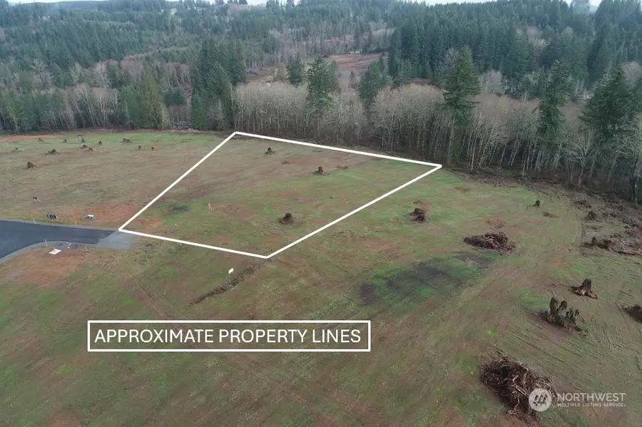 231 Ash Mountain Drive #3, Castle Rock, WA 98611 - #2