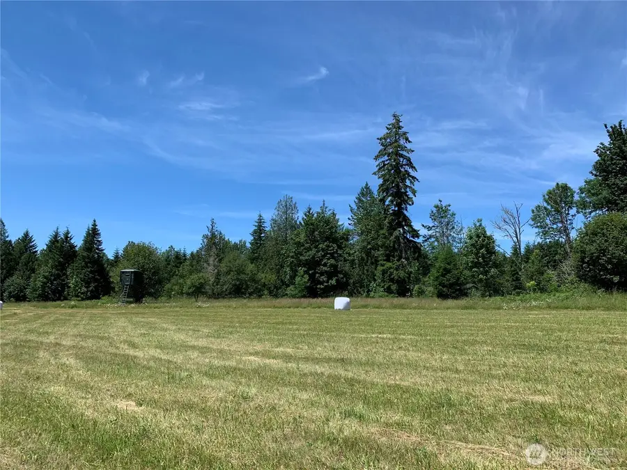 178 Mask Lane, Toutle, WA 98649 - #3