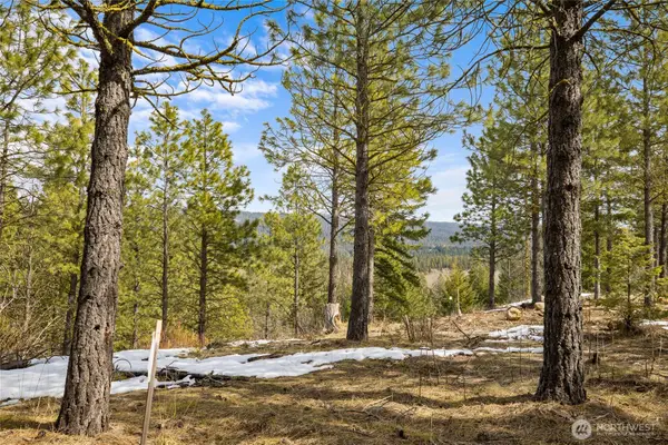 541 Gold Leaf Lane #16-33, Cle Elum, WA 98922