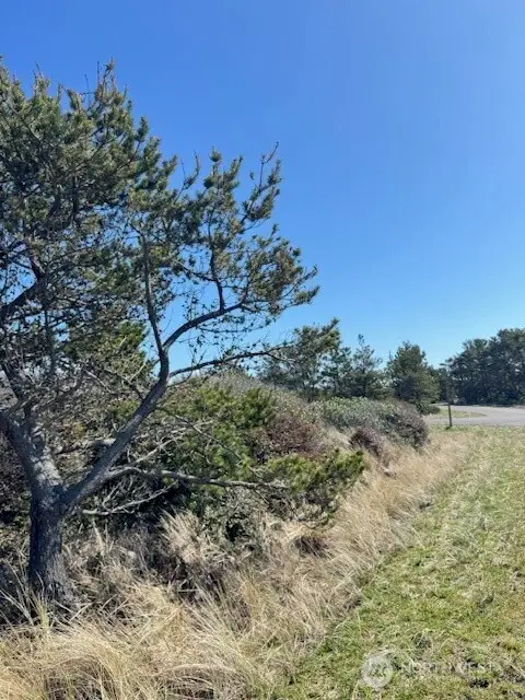 453 N Bel Air Loop #18, Ocean Shores, WA 98569