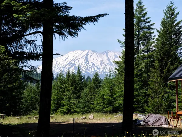 2 Phyllis Ann Block Court #2, Cougar, WA 98616