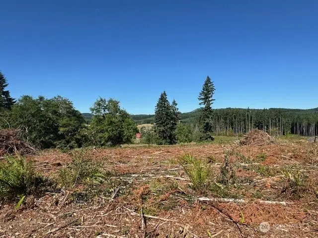 0 Nelson Road, Winlock, WA 98596 - Image #1