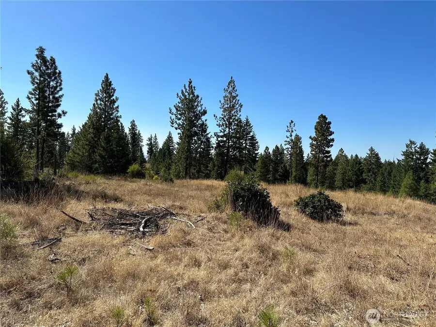 0 Three Mountains Meadows, Goldendale, WA 98620 - #2