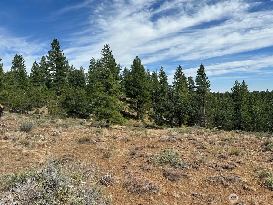 0 Three Mountains Meadows, Goldendale, WA 98620 - #3