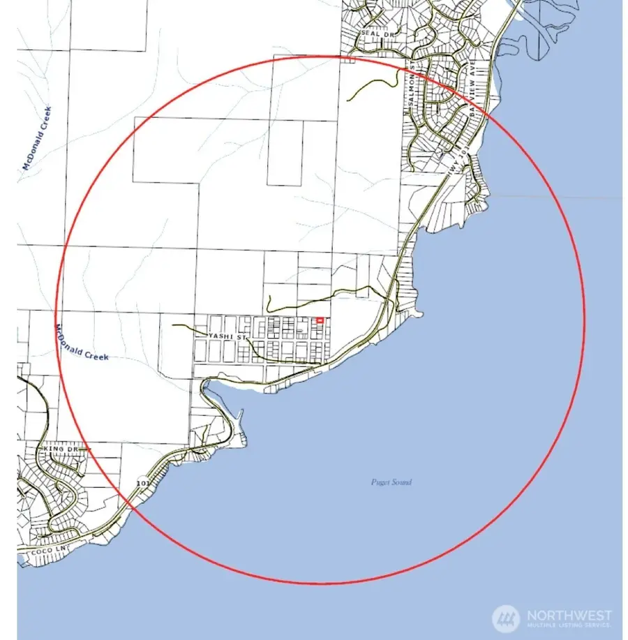 0 Apn:932100906, Brinnon, WA 98320 - #3