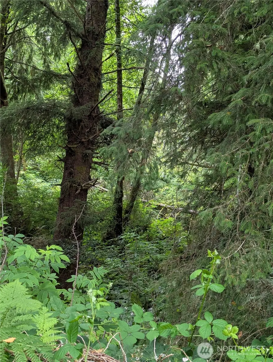 #3