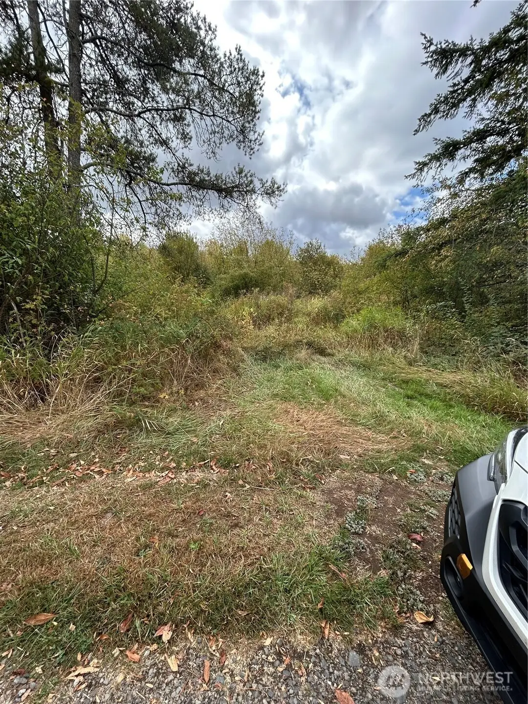 0 Nicholson Road, Toledo, WA 98591 - Image #1