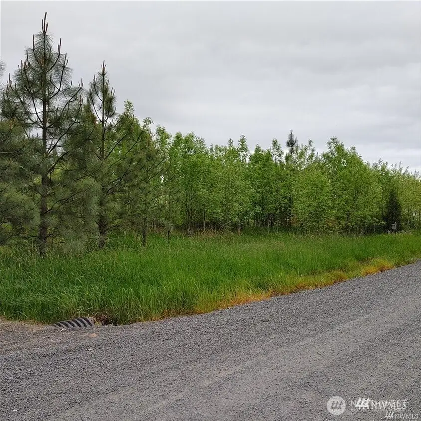 0 Nicholson Road, Toledo, WA 98591 - Image #3